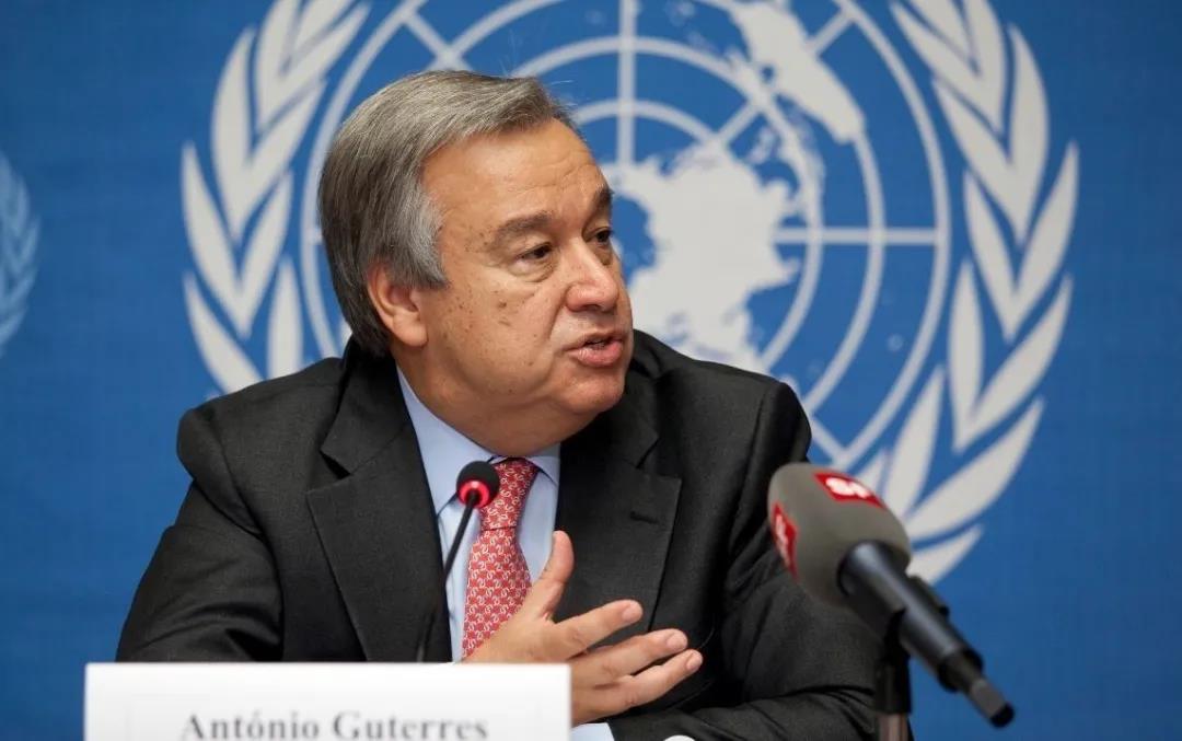 联合国世界健康组织联盟成员有哪些人 (联合国世界健康组织联盟)